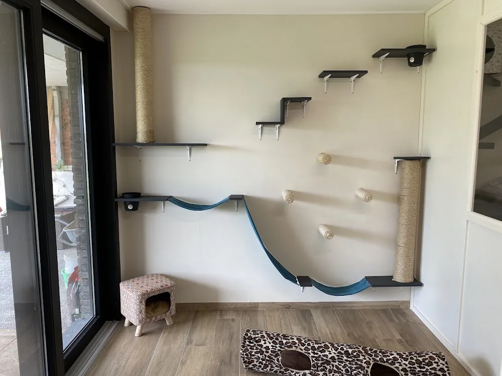 Purrfect vaCATion - Flanders pet otel görseli 7