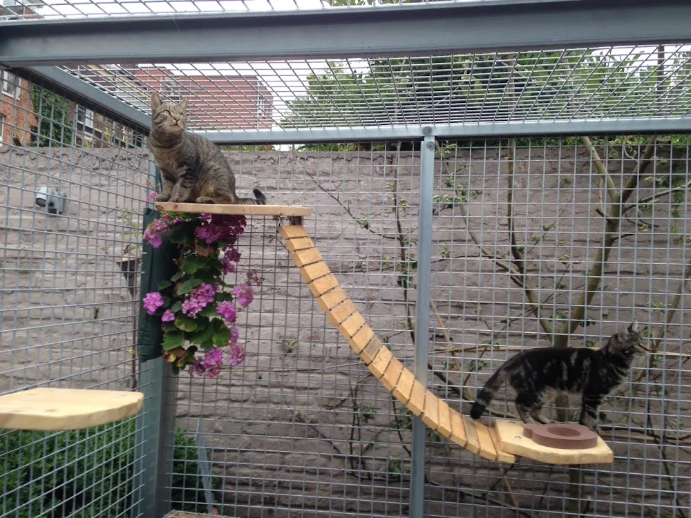 Pavlove Kattenpension - Flemish Brabant pet otel