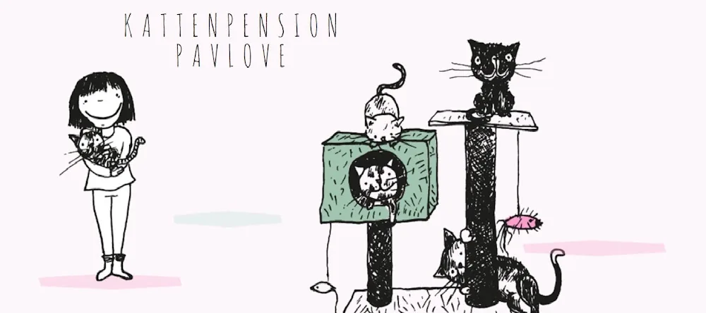 Pavlove Kattenpension - Flemish Brabant pet otel görseli 3