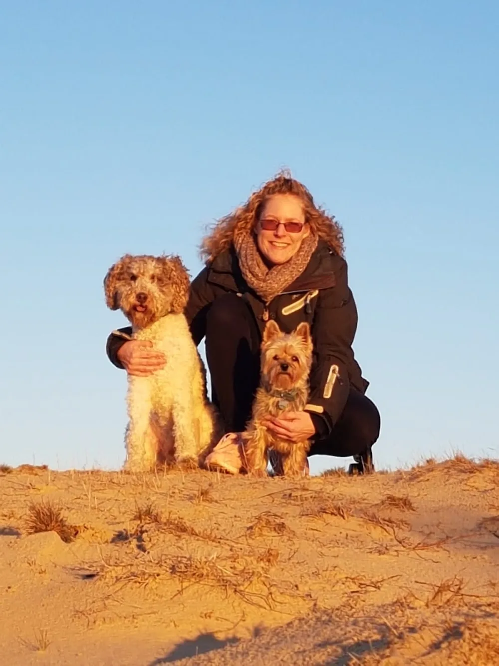 Col's Happy Dogs - Flevoland pet otel