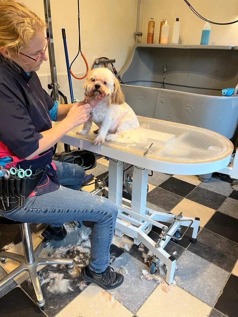 Col's Happy Dogs - Flevoland pet otel görseli 3