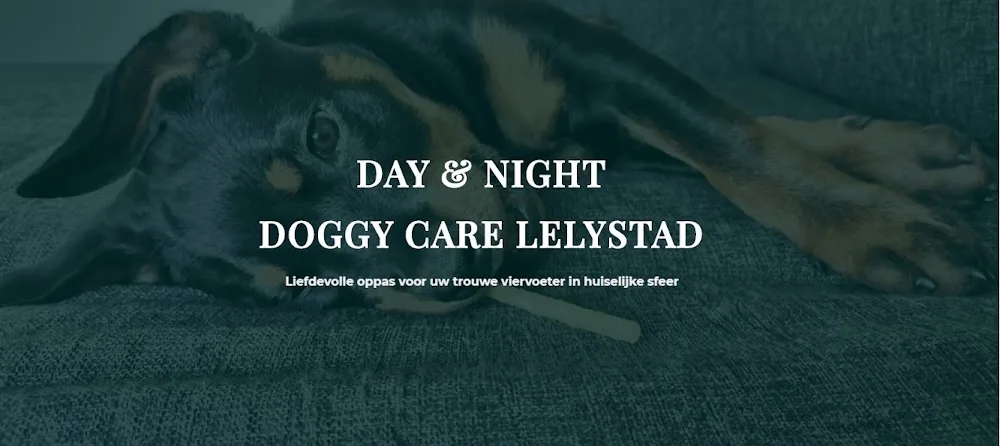 Day & Night Doggy Care Lelystad - Flevoland pet otel