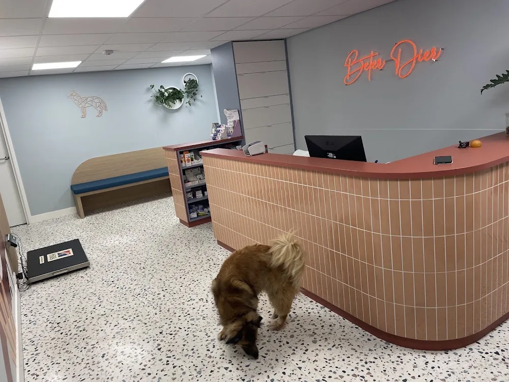 Dierenkliniek Beter Dier, Kattenpension Beter Dier - Flevoland pet otel