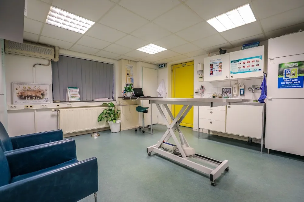 Dierenkliniek Beter Dier, Kattenpension Beter Dier - Flevoland pet otel görseli 5