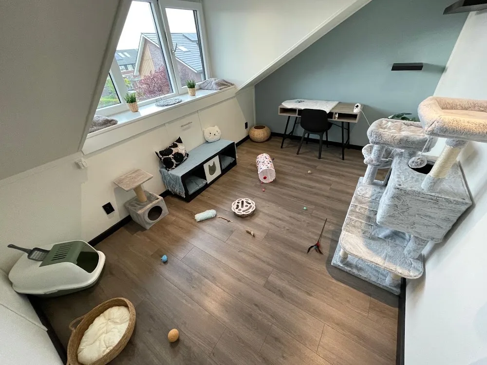 Kattenoppas Kampen - Flevoland pet otel