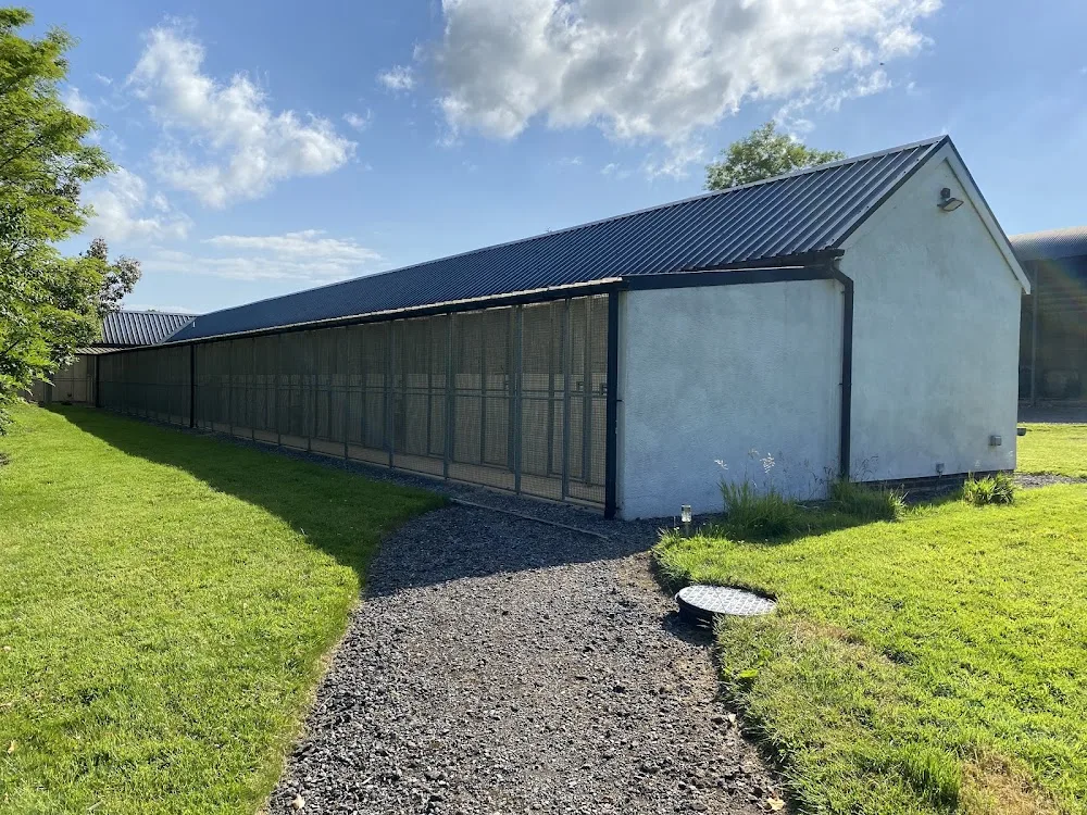 Bryn Difyr Boarding Cattery - Flintshire pet otel görseli 3