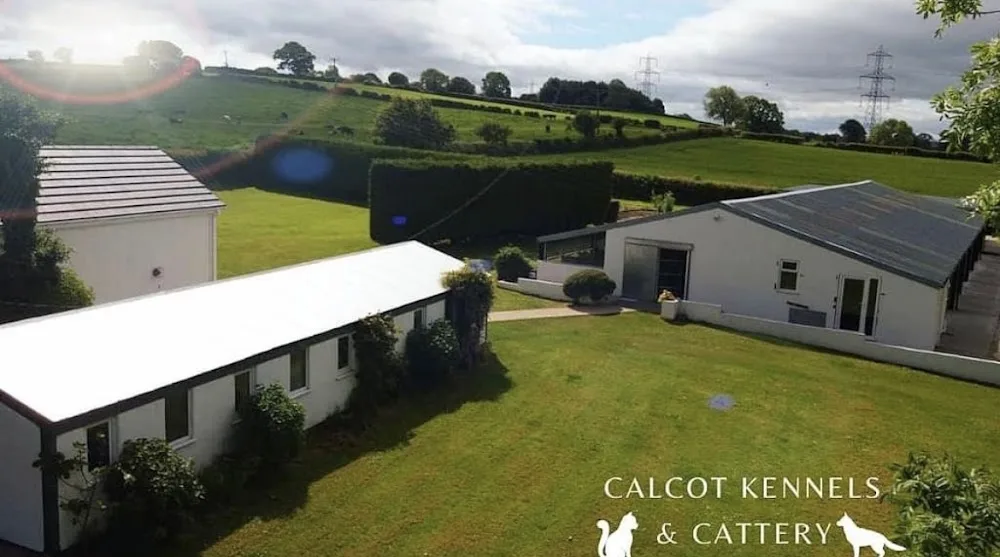 Calcot Kennels & Cattery - Flintshire pet otel