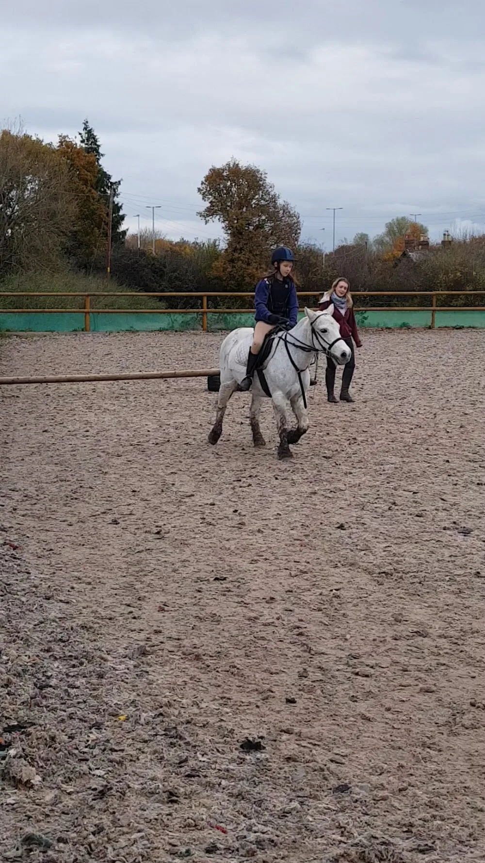 Daisy Bank Farm (Kennels and Riding School) - Flintshire pet otel