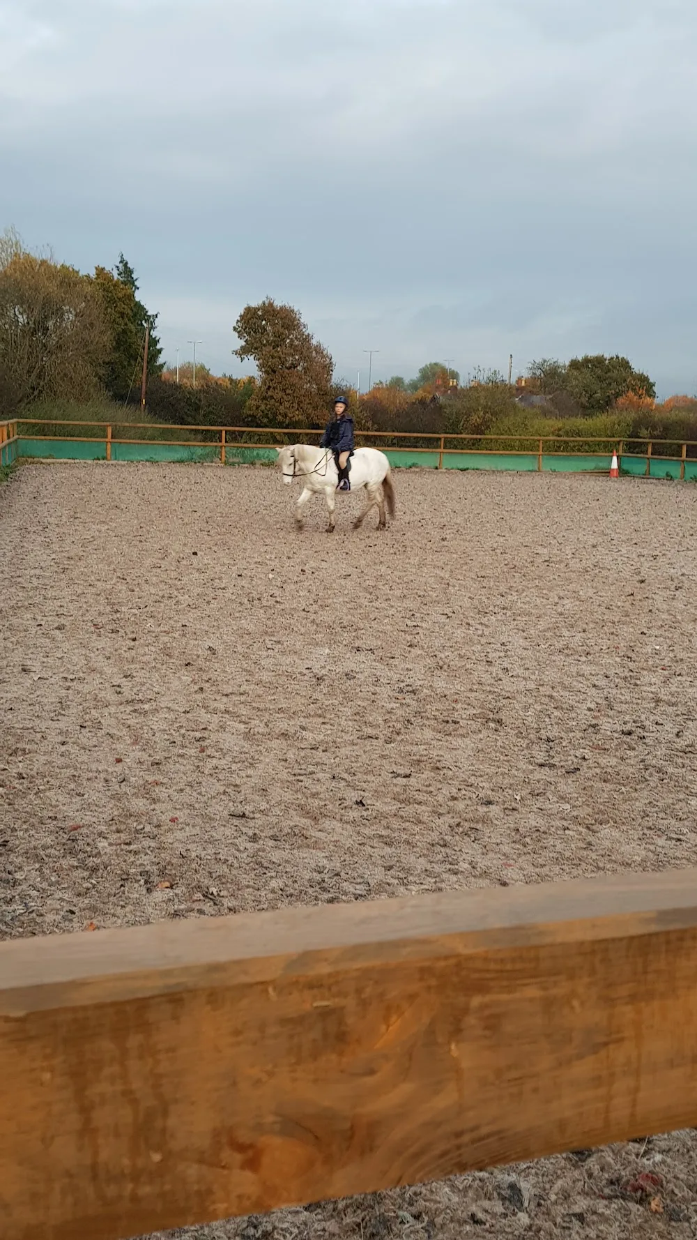Daisy Bank Farm (Kennels and Riding School) - Flintshire pet otel görseli 3