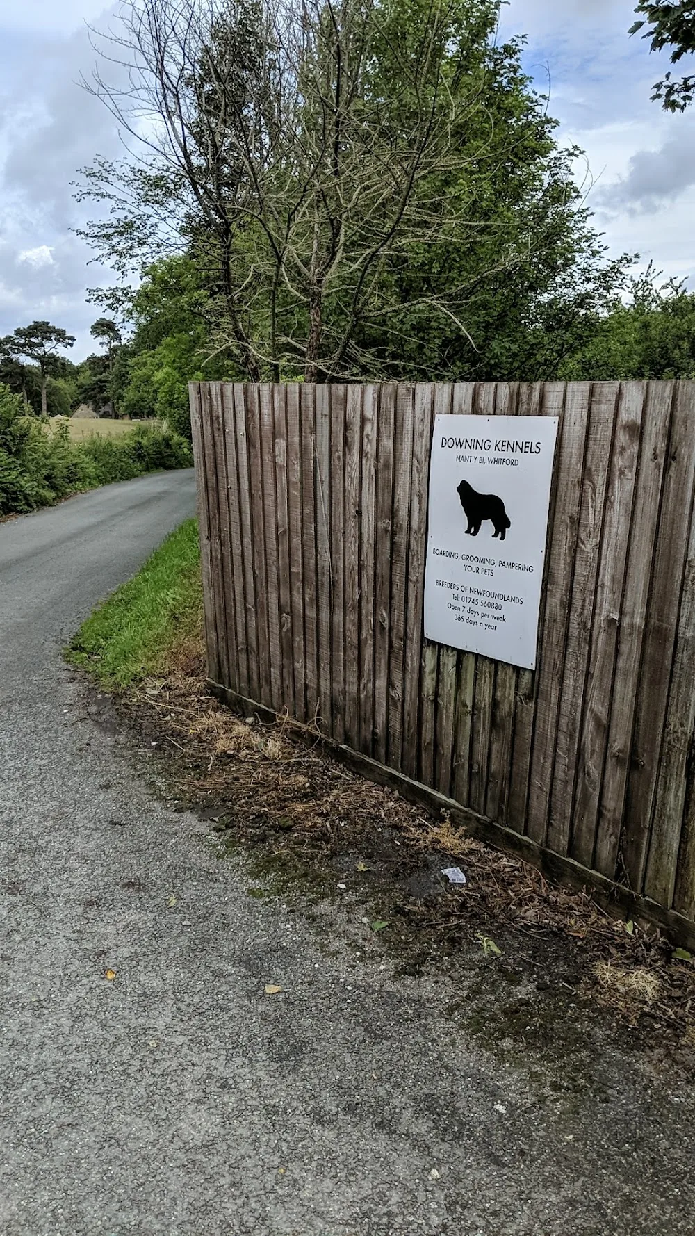 Downing Kennels - Flintshire pet otel