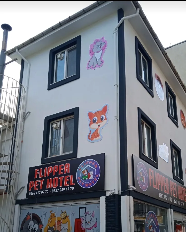 Flipper Pet Hotel - Kocaeli pet otel görseli 7