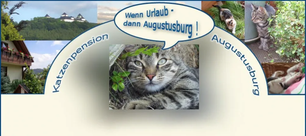 Katzenpension Augustusburg - Flöha pet otel
