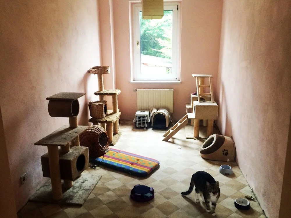 Tierpension Kitty Inh. Tina Haase - Flöha pet otel
