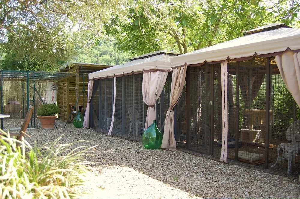ARMONIA DEL GATTO - Florence pet otel
