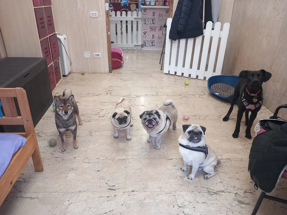 BAU Il Circolo delle Coccole - Florence pet otel görseli 3