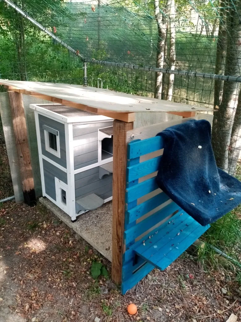 Gli Antichi Etruschi associazione cinofila - pensione per cani e gatti - Florence pet otel