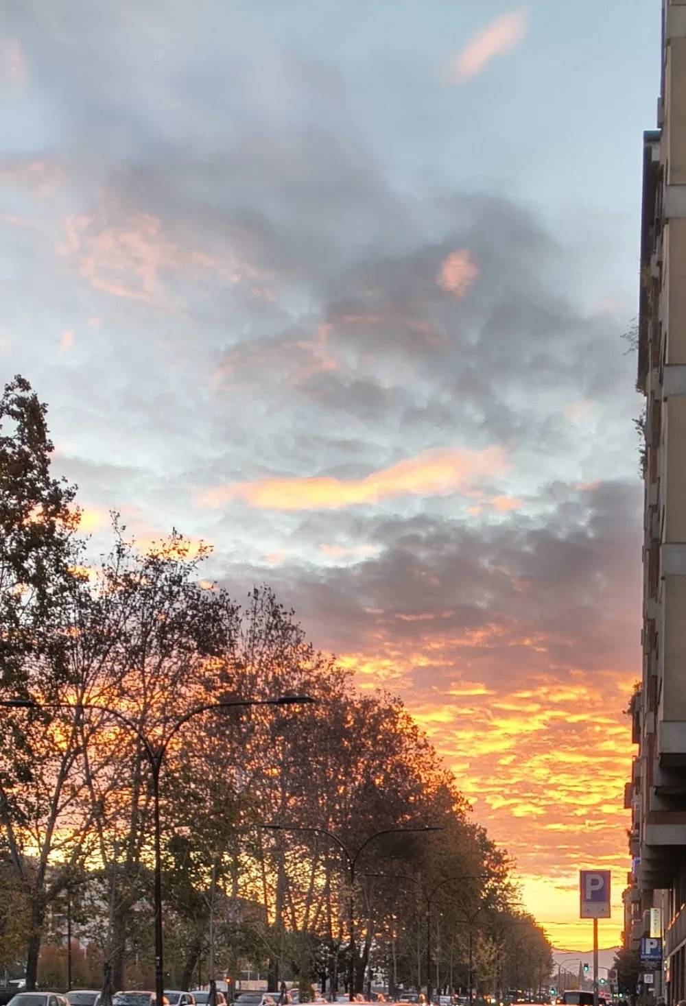 Hotel Firenze petfriendly - Florence pet otel