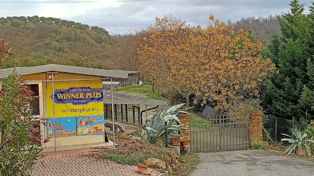 IL CASTELLARE Pensione per cani - Florence pet otel