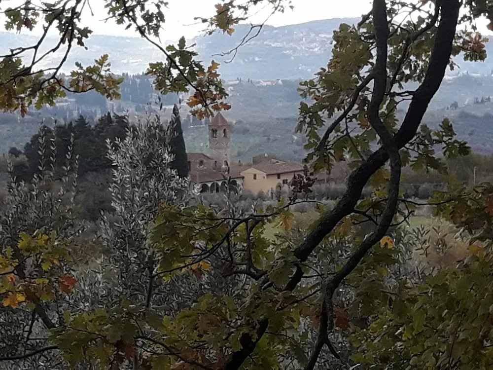 Pensione Per Cani Le Terrazze - Florence pet otel