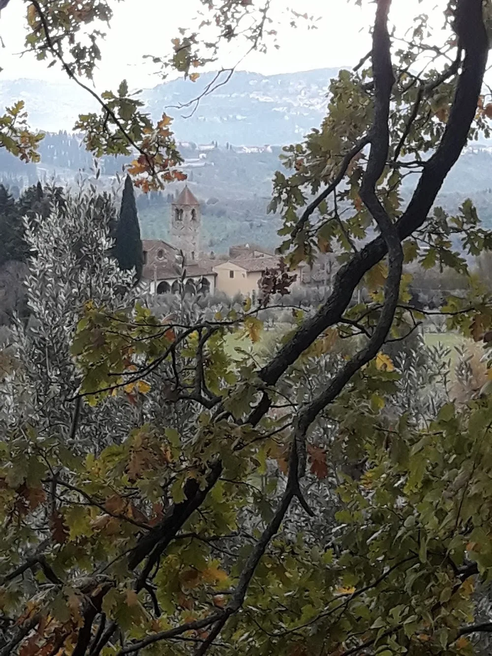 Pensione Per Cani Le Terrazze - Florence pet otel görseli 3
