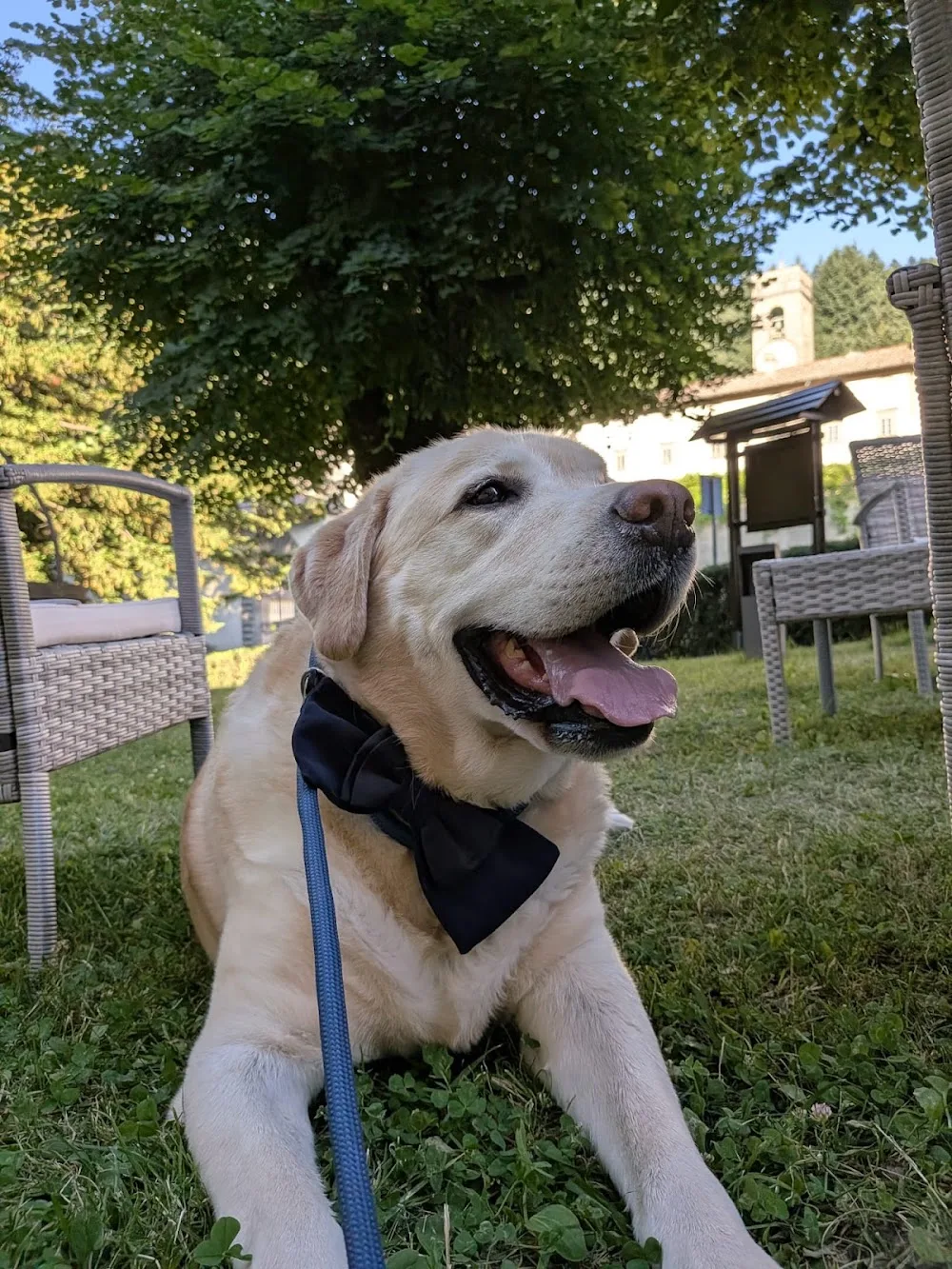 Zampe In Famiglia Firenze | Pet Sitting - Florence pet otel görseli 3
