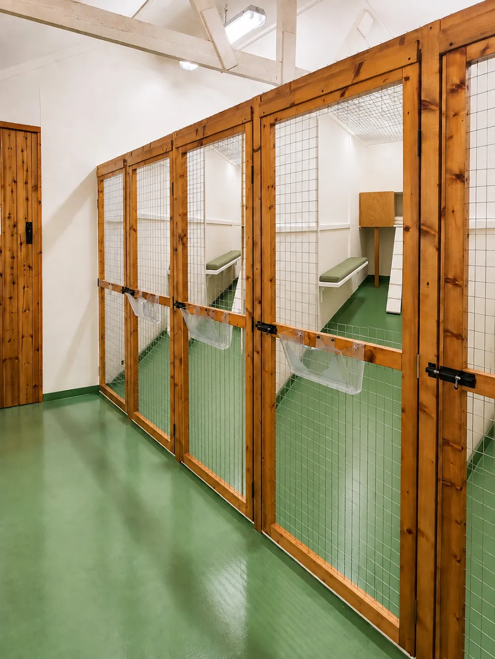 West End Cattery - Folkestone pet otel görseli 2