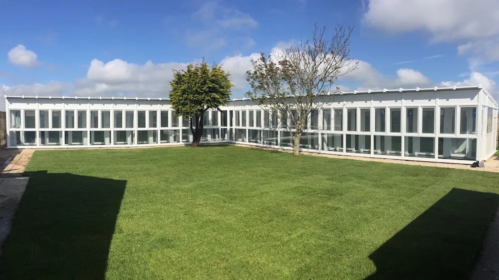 Westwinds Cattery - Folkestone pet otel görseli 2