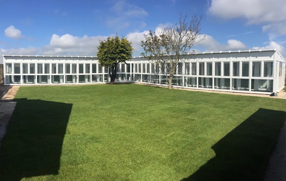 Westwinds Cattery - Folkestone pet otel görseli 3