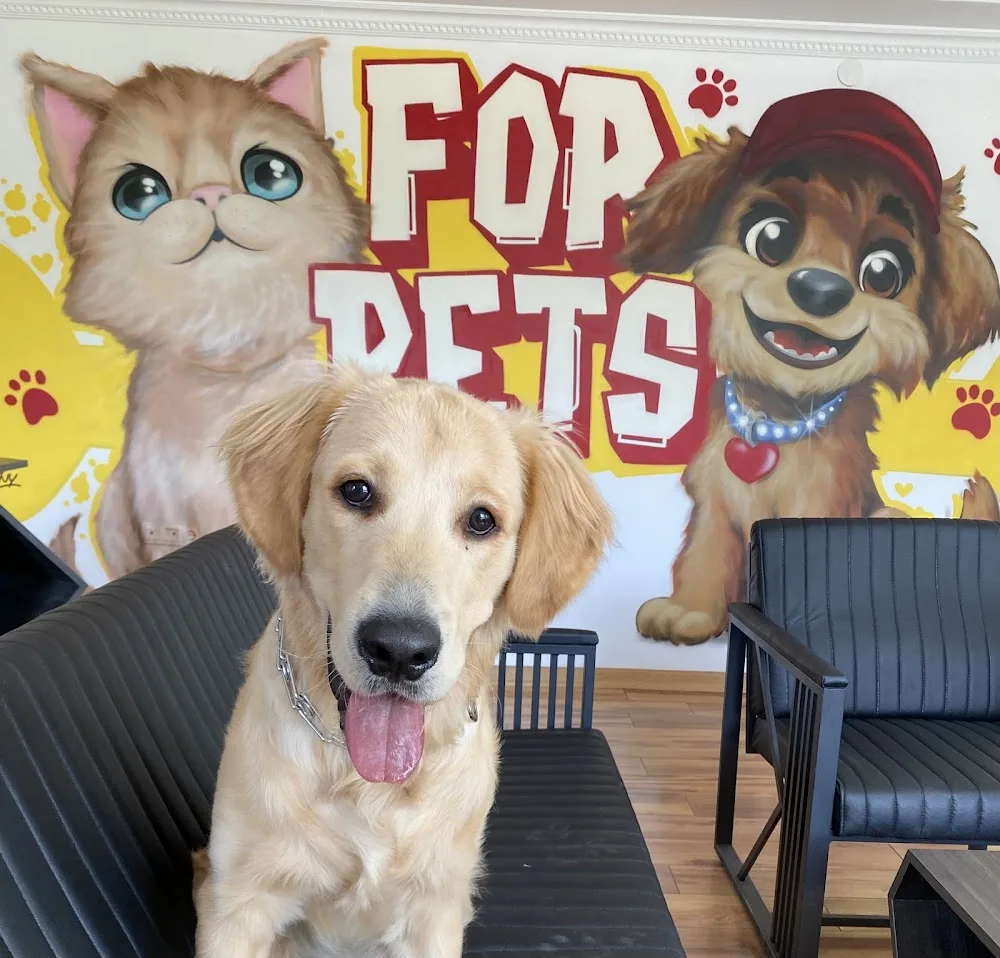 For Pets Köpek Oteli & Kreşi - Ankara pet otel