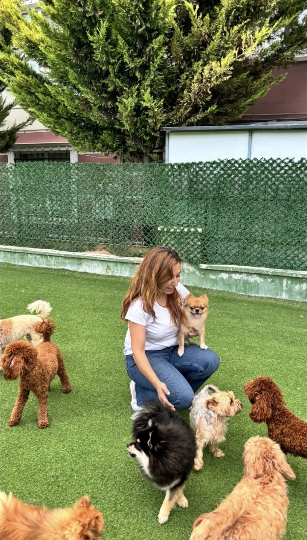 For Pets Köpek Oteli & Kreşi - Ankara pet otel görseli 7
