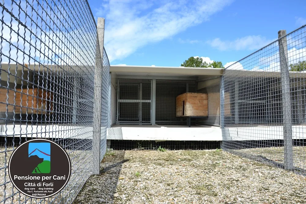Pensione per Cani Città di Forlì - Forlì-Cesena pet otel görseli 3
