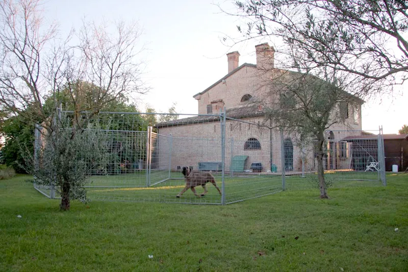 Pensione per Cani Villa Villacolle San Mauro Pascoli - Forlì-Cesena pet otel