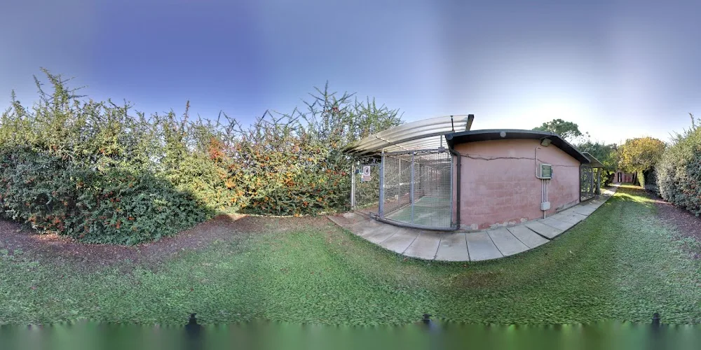 Pensione per Cani Villa Villacolle San Mauro Pascoli - Forlì-Cesena pet otel görseli 3