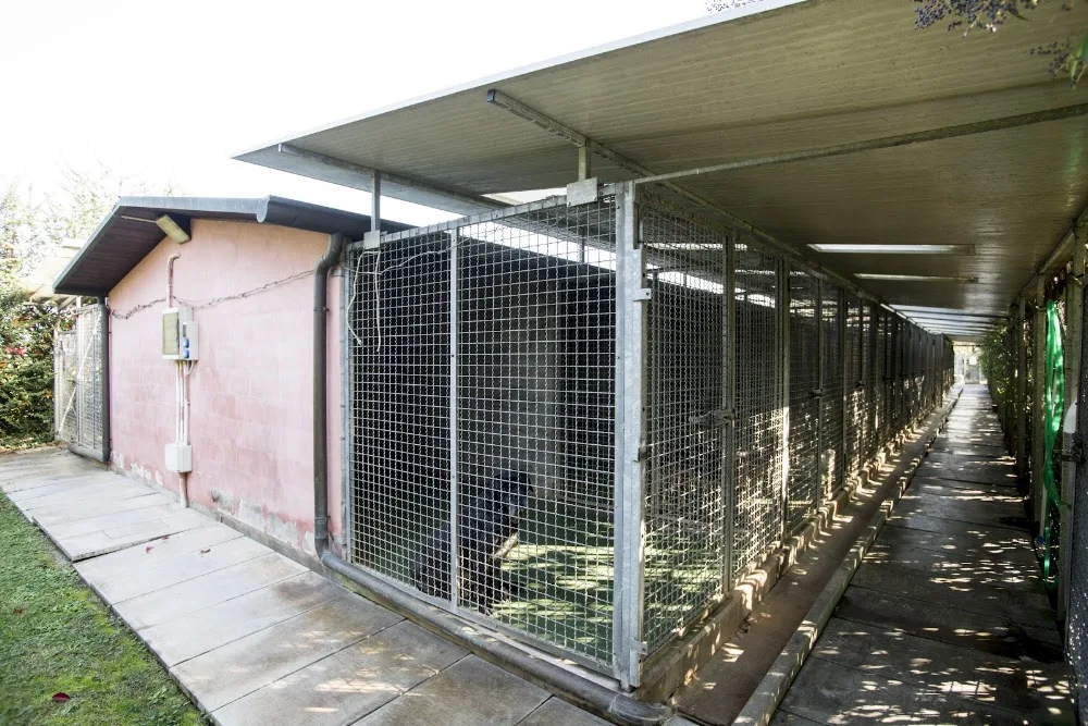 Pensione per Cani Villa Villacolle San Mauro Pascoli - Forlì-Cesena pet otel görseli 4