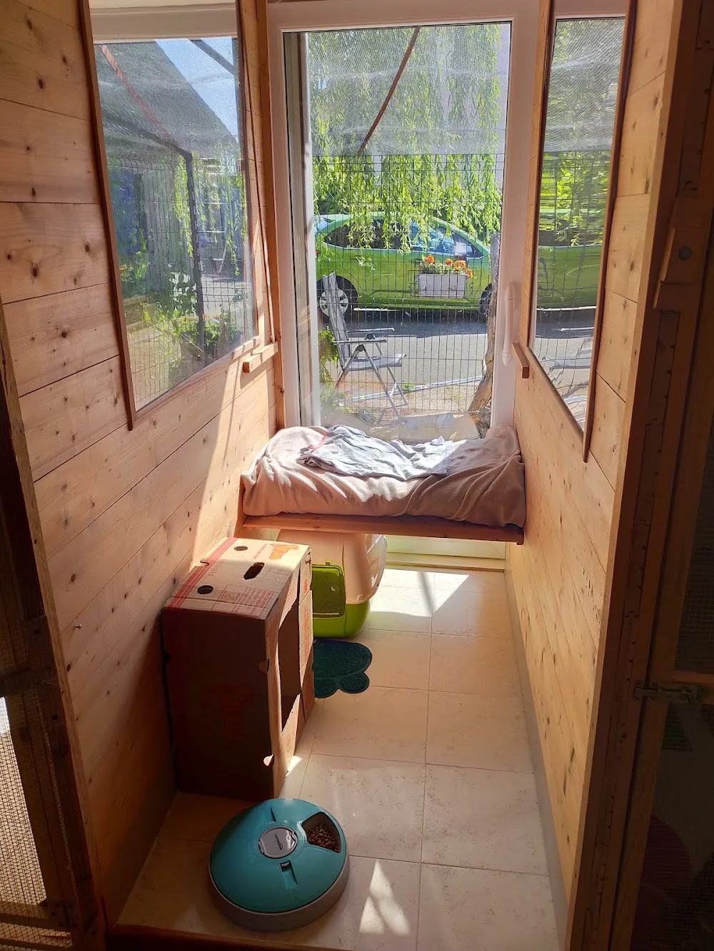 Délicat'hôtel, pension pour chat, pension féline - Nord pet otel