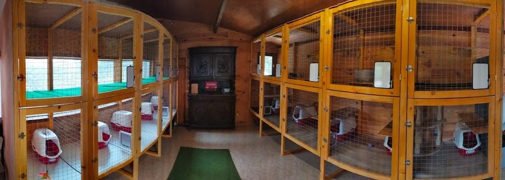 L'Eden d'Opale - Pension féline - Nord pet otel