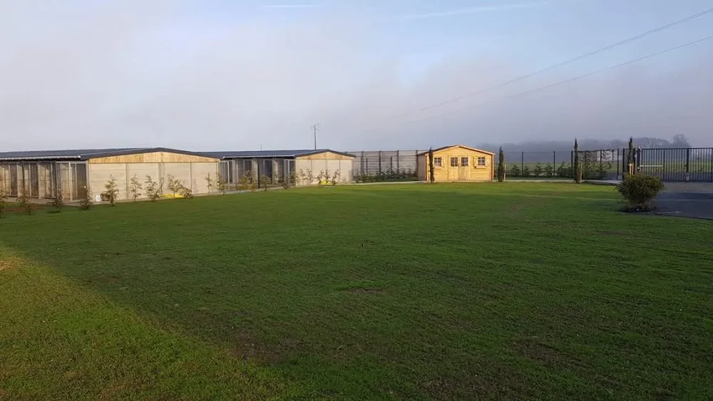 Pension Canine Paradisdog - Nord pet otel