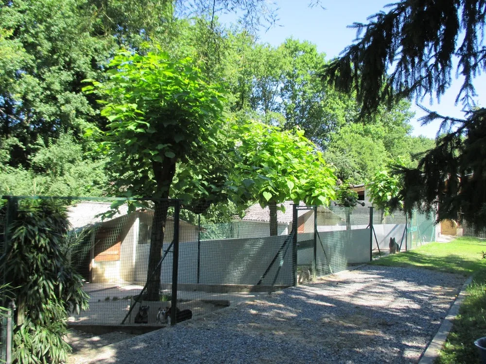 Anim'Hôtel Pension Canine et Féline - France pet otel