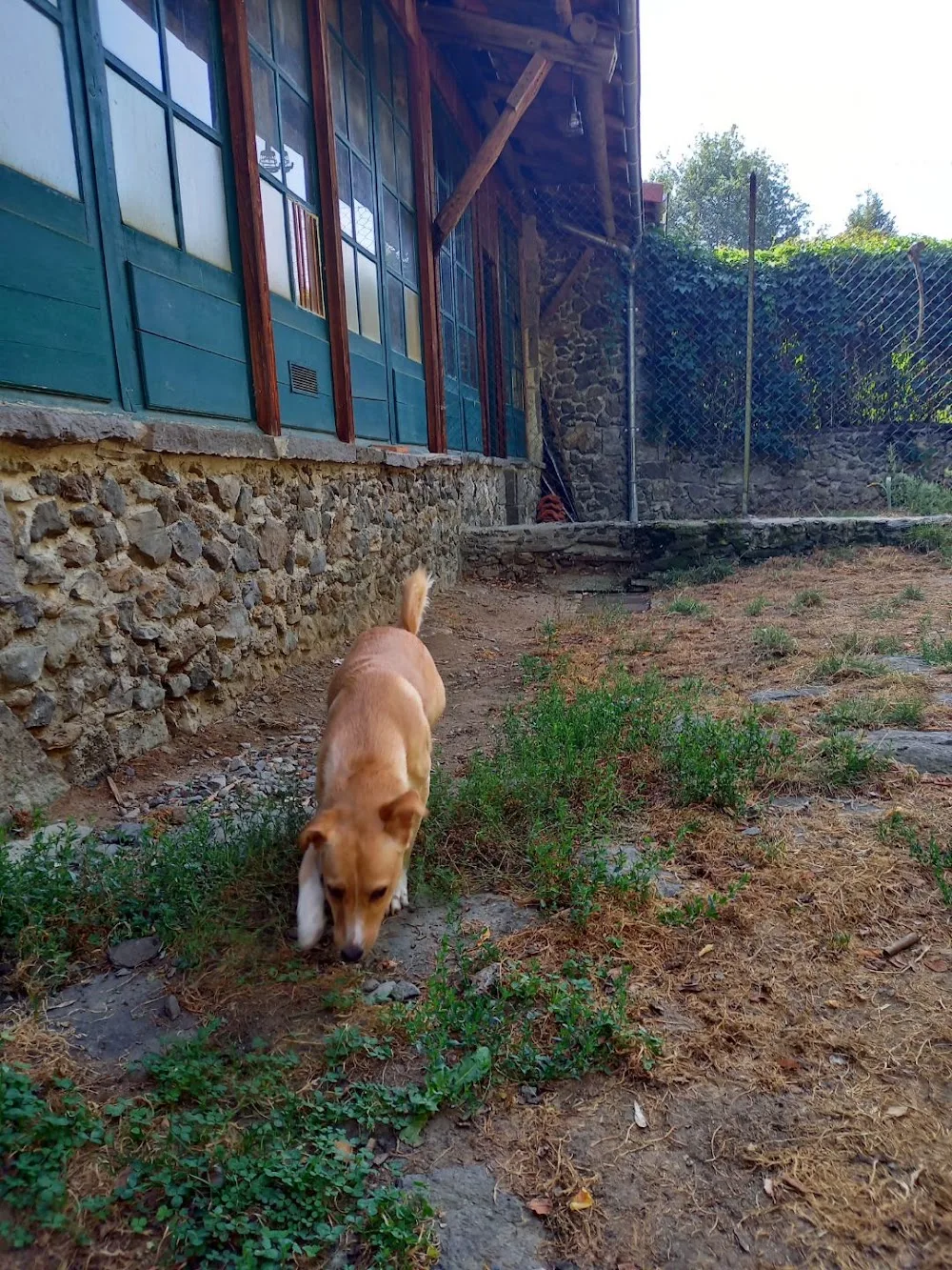 Pension canine et féline du Pré de la Côte - France pet otel görseli 6