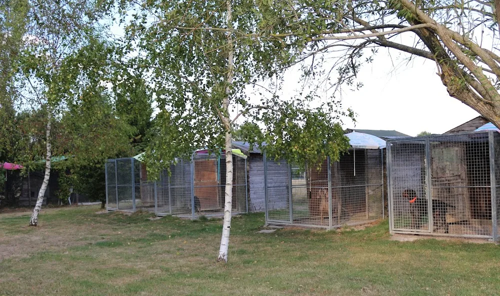 Pension canine féline équine du domaine de Buchepot - France pet otel görseli 2