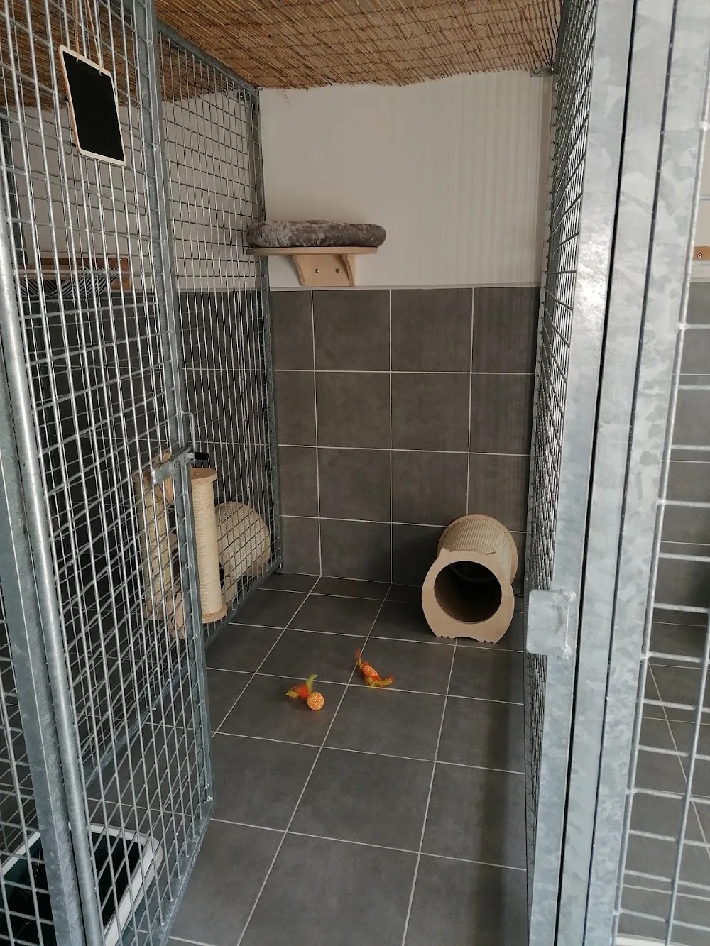Pension féline Royal cats - France pet otel görseli 3