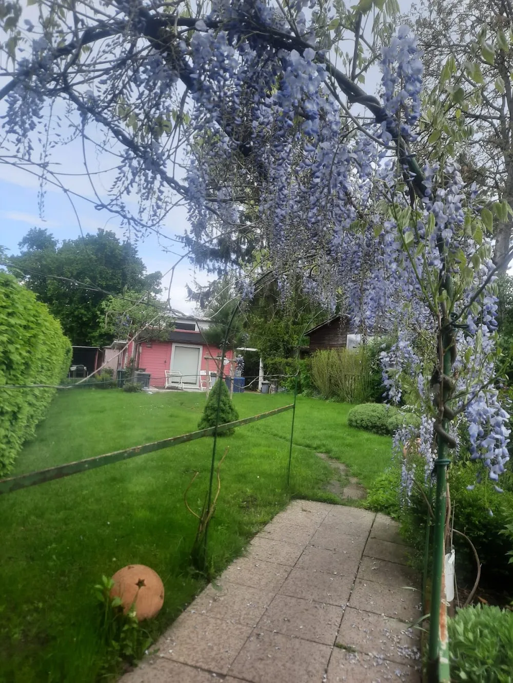 Hundebetreuung Dolce Vita - Frankfurt am Main - Frankfurt pet otel