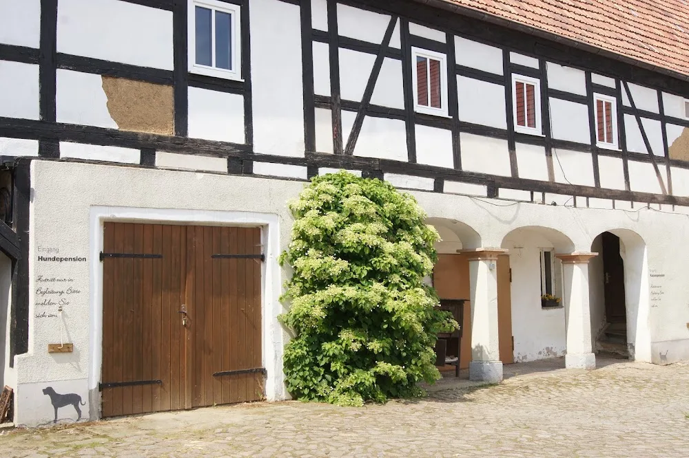 Hundeberaterin - Ines Zuschke - Freital pet otel görseli 3