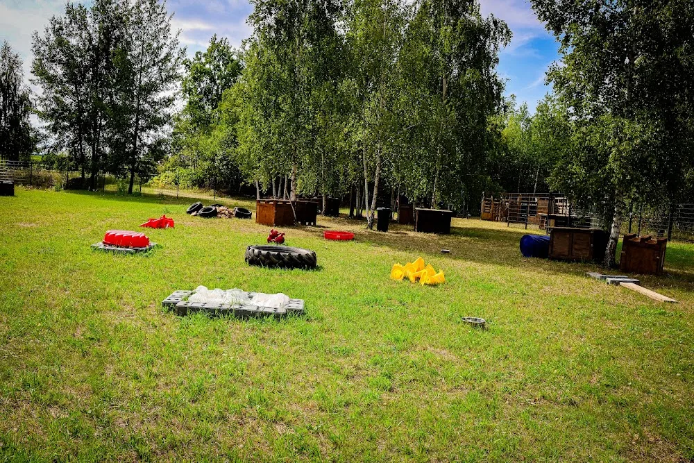Hundebetreuung Wolfsgewand Dresden - Freital pet otel