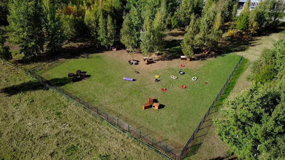 Hundebetreuung Wolfsgewand Dresden - Freital pet otel görseli 3
