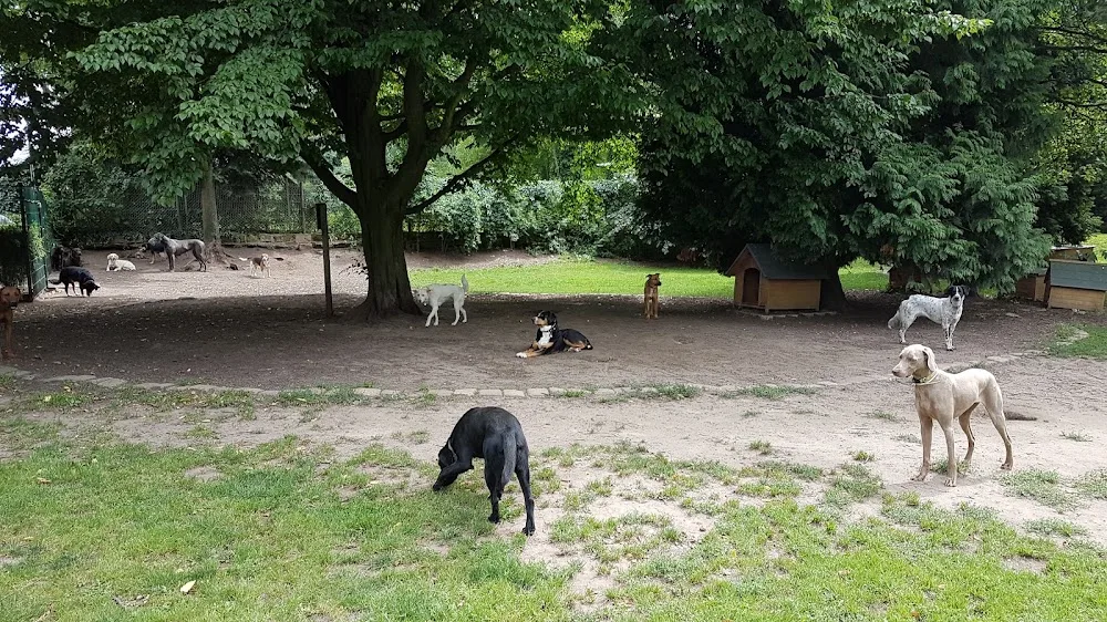 Hundetagesstätte Dresden - Freital pet otel