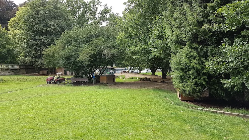 Hundetagesstätte Dresden - Freital pet otel görseli 3