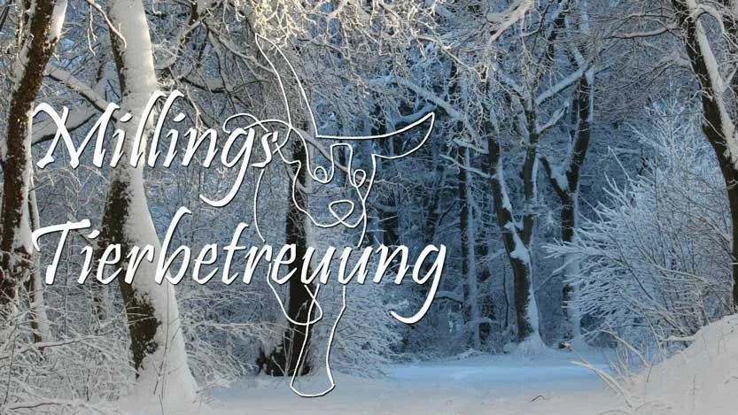 Millings Tierbetreuung - Freital pet otel