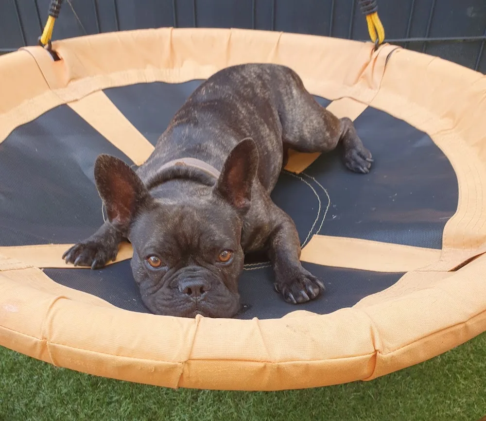 Ullis Hundestube - Freital pet otel