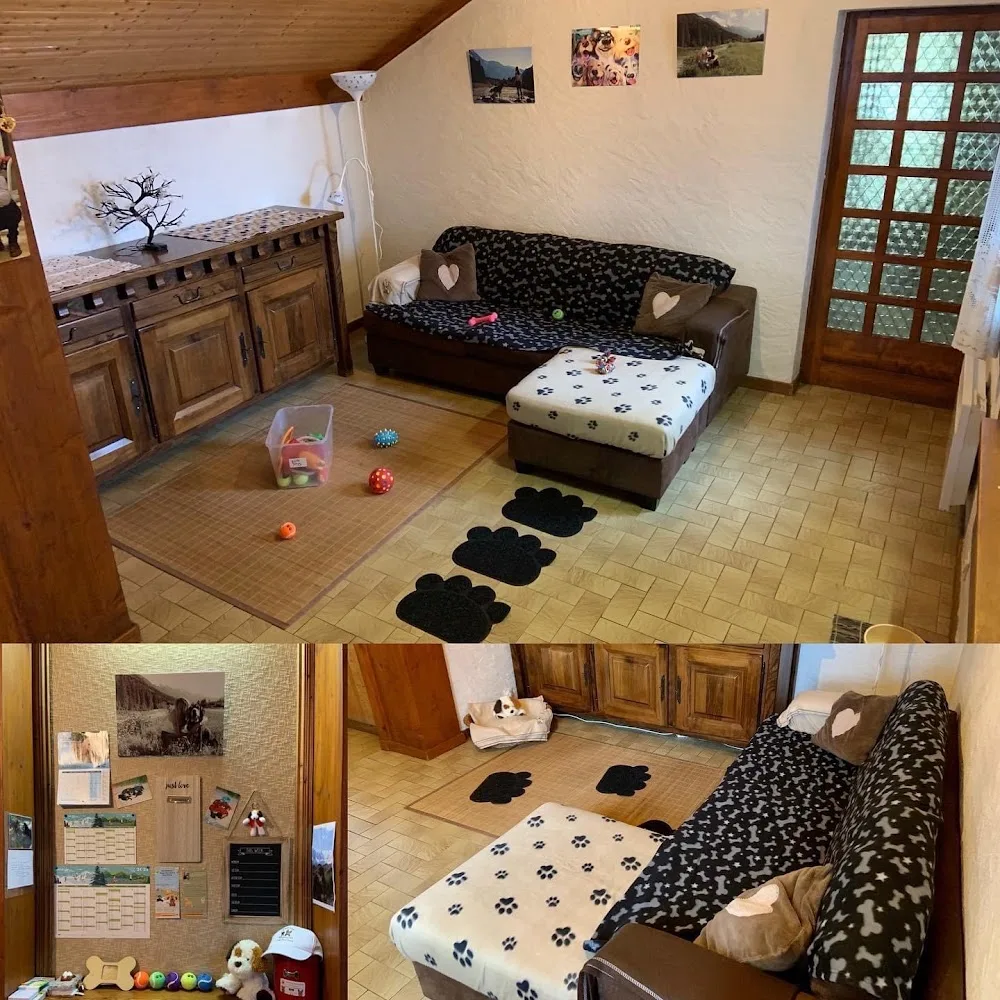 Pawesome Adventures - French Southern and Antarctic Lands pet otel